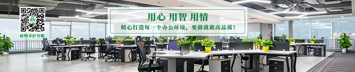 植物(wù)租賃套餐488元
