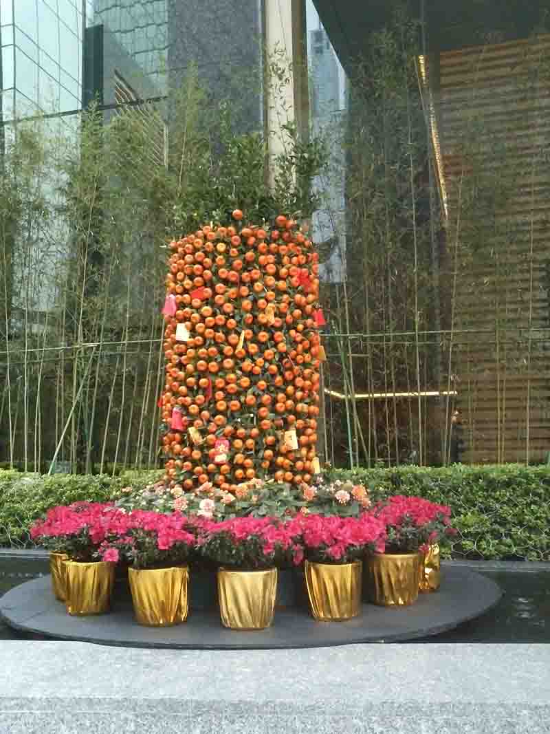 重(zhong)慶植物(wù)租賃 重(zhong)慶植物(wù)租賃