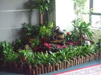大(da)堂一(yi)角植物(wù)租擺