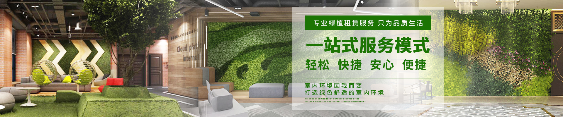 重(zhong)慶植物(wù)出租